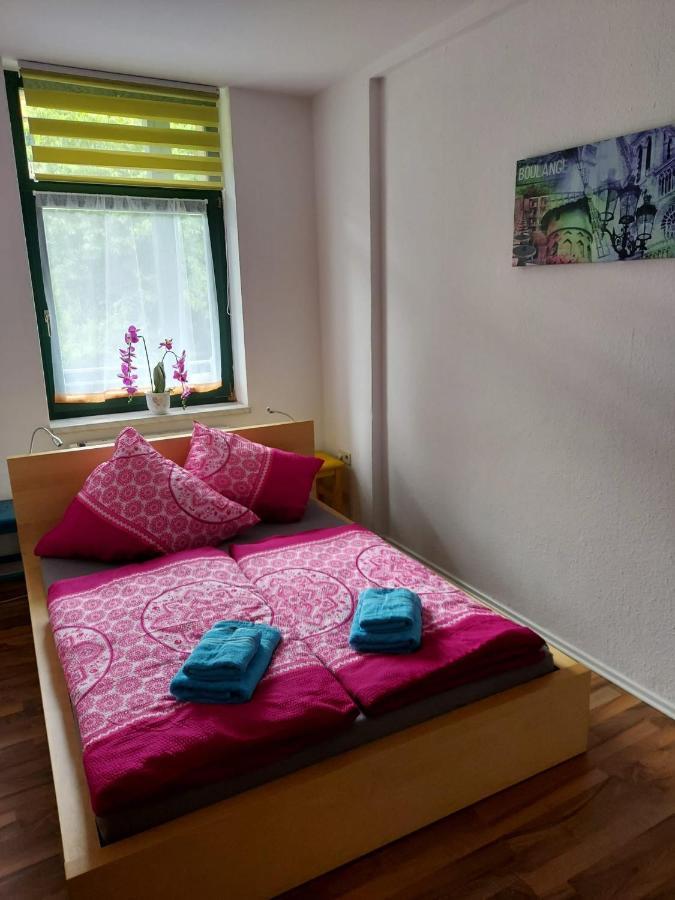 Ferienwohnung Eddi Reichenbach im Vogtland Exteriör bild